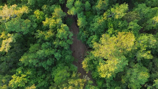 $294,500 | 1324 County Road 4710, Kennard, TX 75847