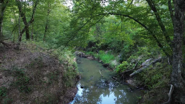 $294,500 | 1324 County Road 4710, Kennard, TX 75847