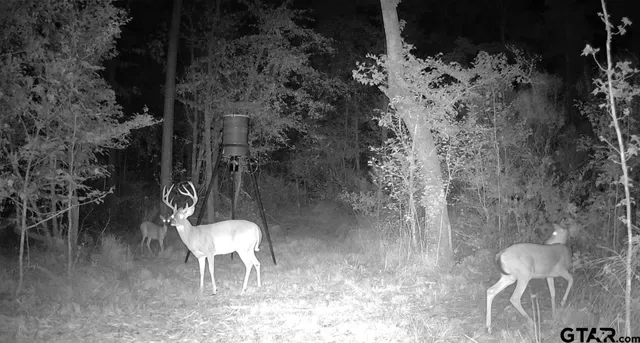 $294,500 | 1324 County Road 4710, Kennard, TX 75847