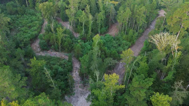 $294,500 | 1324 County Road 4710, Kennard, TX 75847