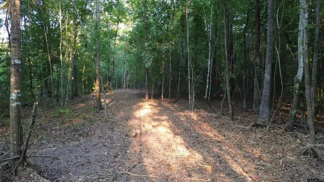 $294,500 | 1324 County Road 4710, Kennard, TX 75847