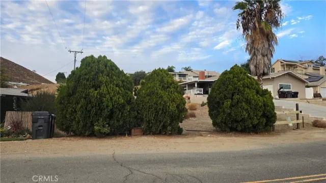 a couple of potted plants sitting in front of a house