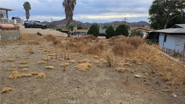 a view of a dry yard with wooden fence