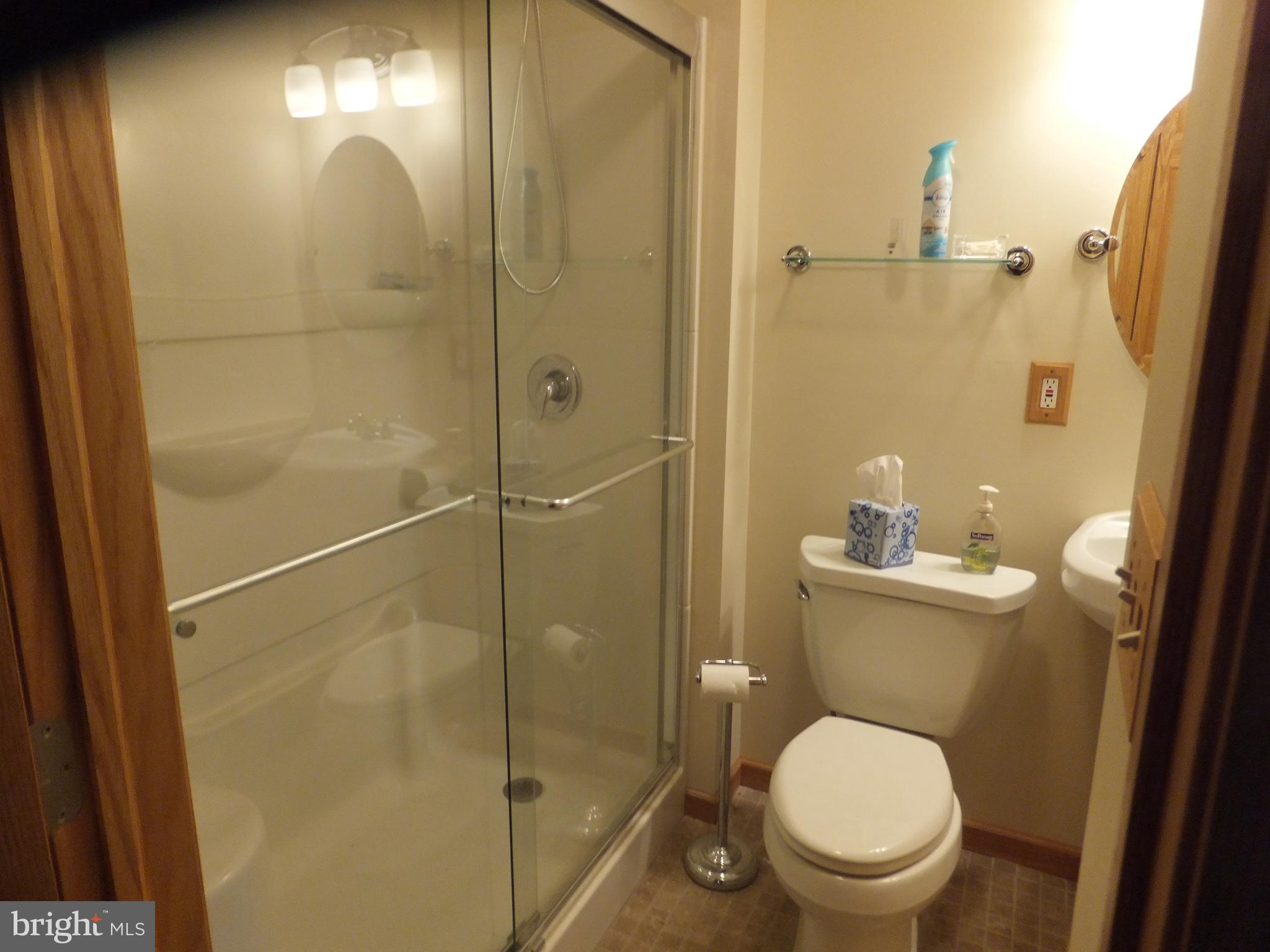 206 Eastern Road Pasadena, MD 21122 - Photo 52 of 57 WALK IN SHOWER