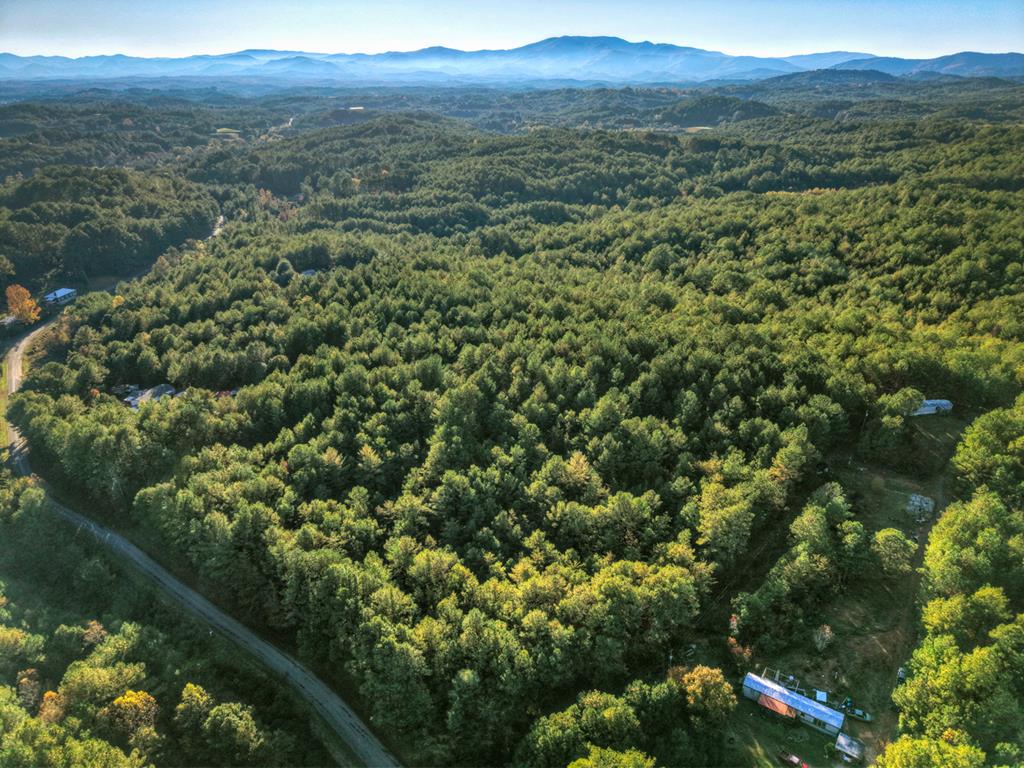 an aerial view of forest