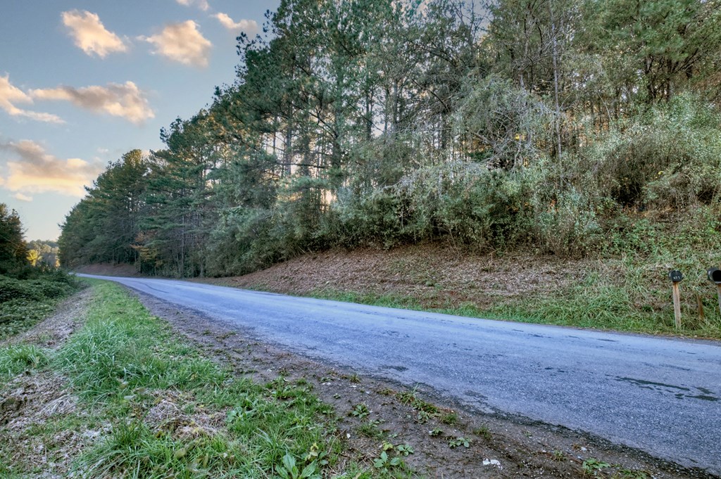 0 Stansbury Mountain Road Copperhill, TN 37317 - Photo 2 of 12 a view of a yard with a tree