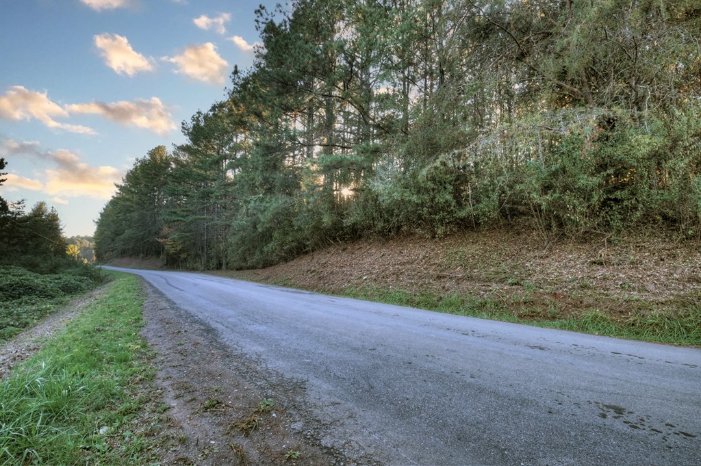 0 Stansbury Mountain Road Copperhill, TN 37317 - Photo 3 of 12 a view of a field with trees in the background