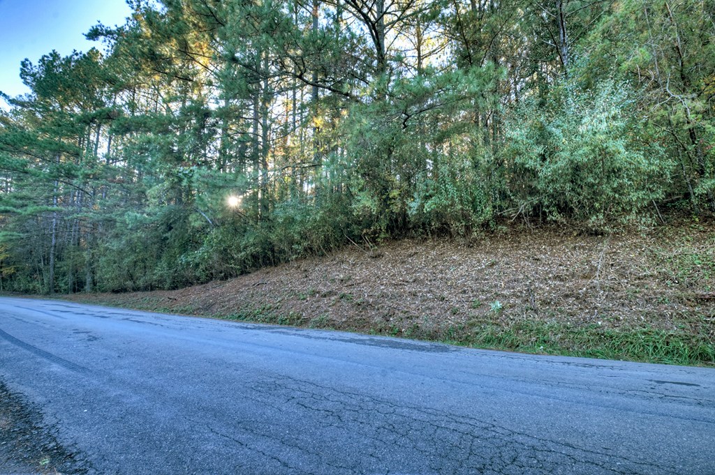 0 Stansbury Mountain Road Copperhill, TN 37317 - Photo 4 of 12 a view of a field with trees in the background