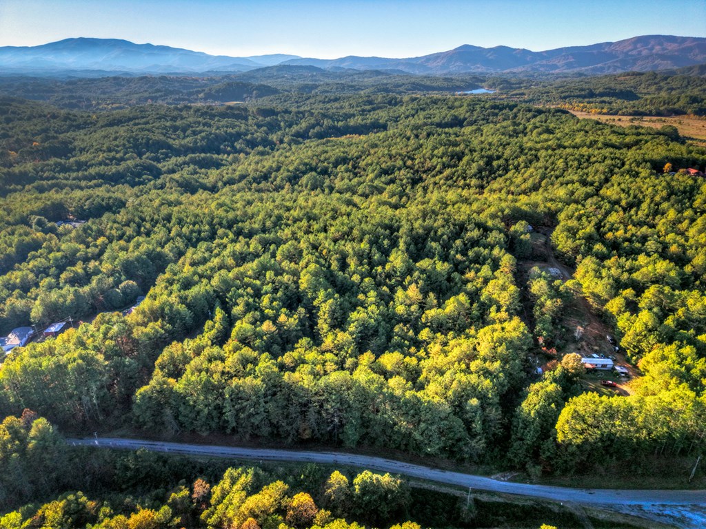 0 Stansbury Mountain Road Copperhill, TN 37317 - Photo 5 of 12 a view of a lot of trees and mountains