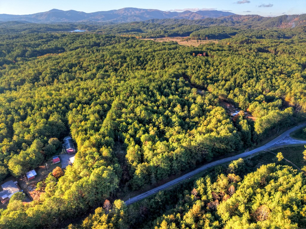 0 Stansbury Mountain Road Copperhill, TN 37317 - Photo 6 of 12 a view of a lush green field with a mountain in the background