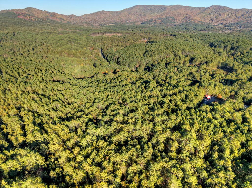 0 Stansbury Mountain Road Copperhill, TN 37317 - Photo 7 of 12 a view of a mountain with a lush green forest