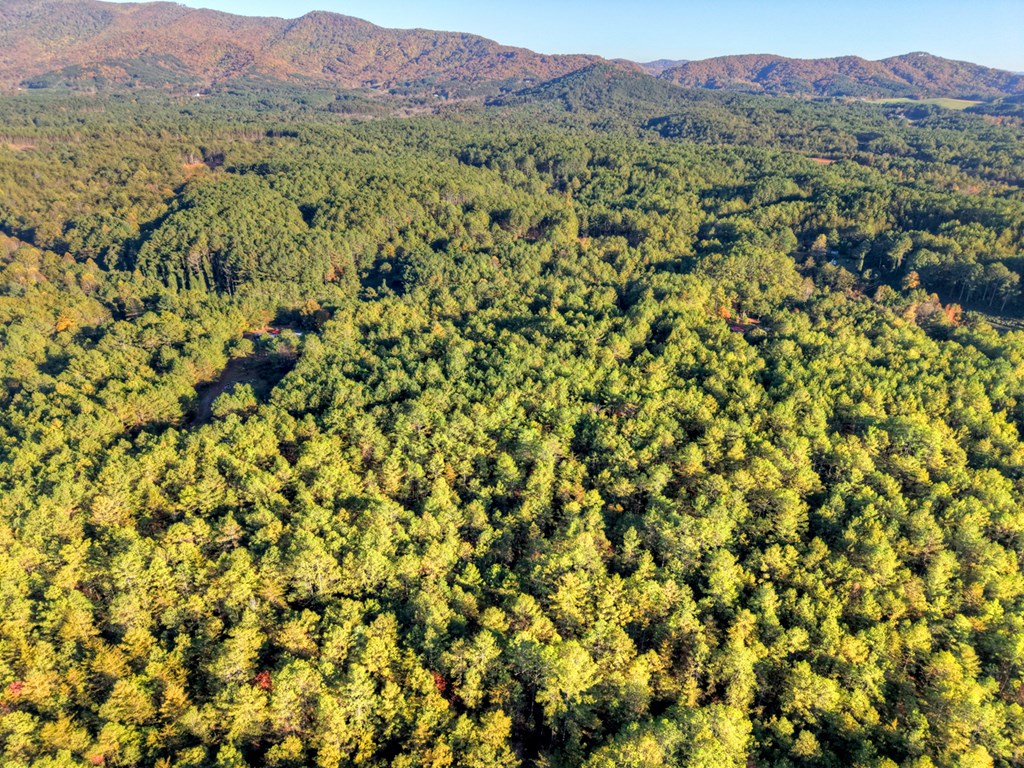 0 Stansbury Mountain Road Copperhill, TN 37317 - Photo 8 of 12 a view of a lush green field with mountains in the background