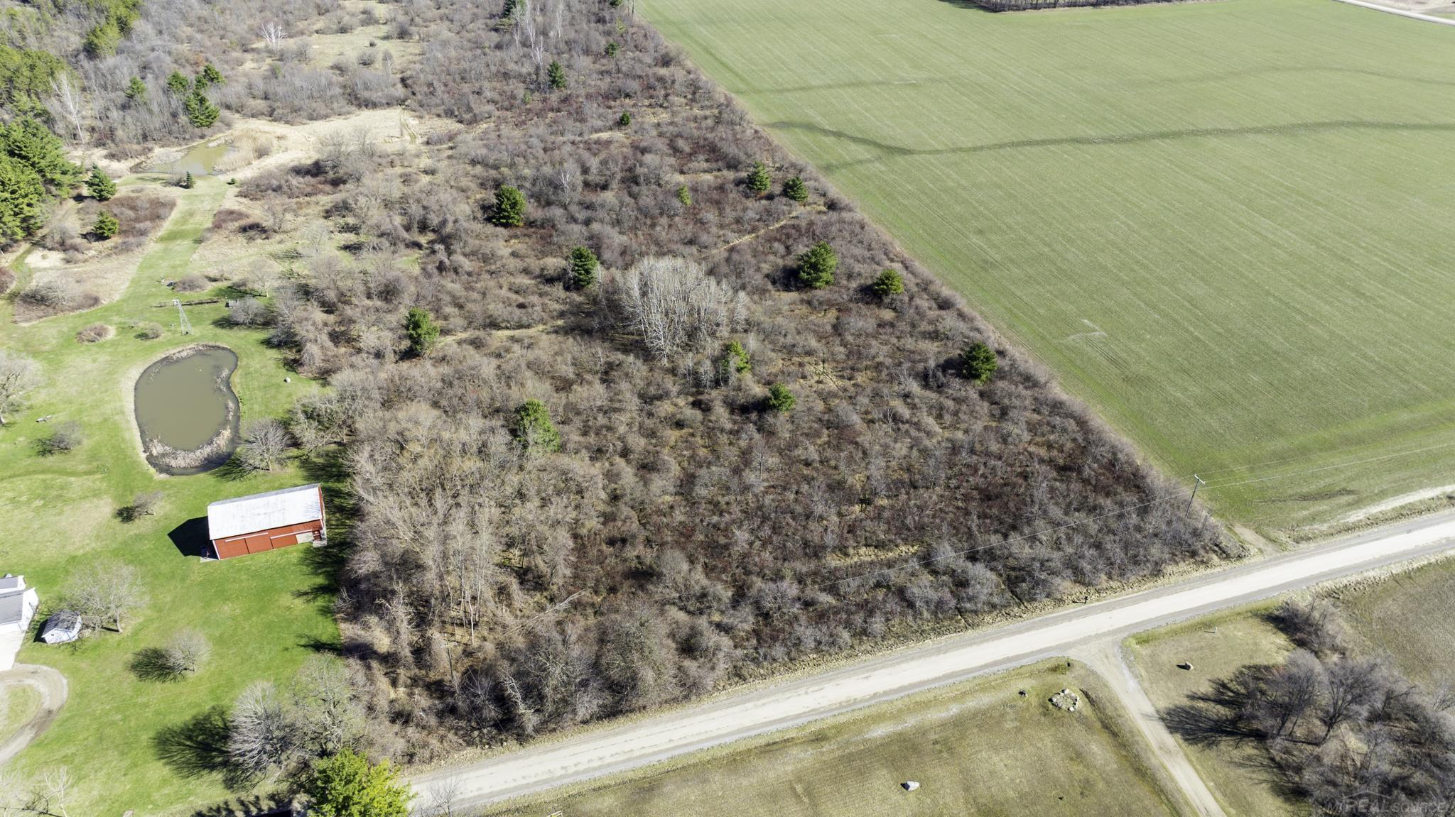Vl Mortimer Line Road Croswell, MI 48422 - Photo 7 of 11