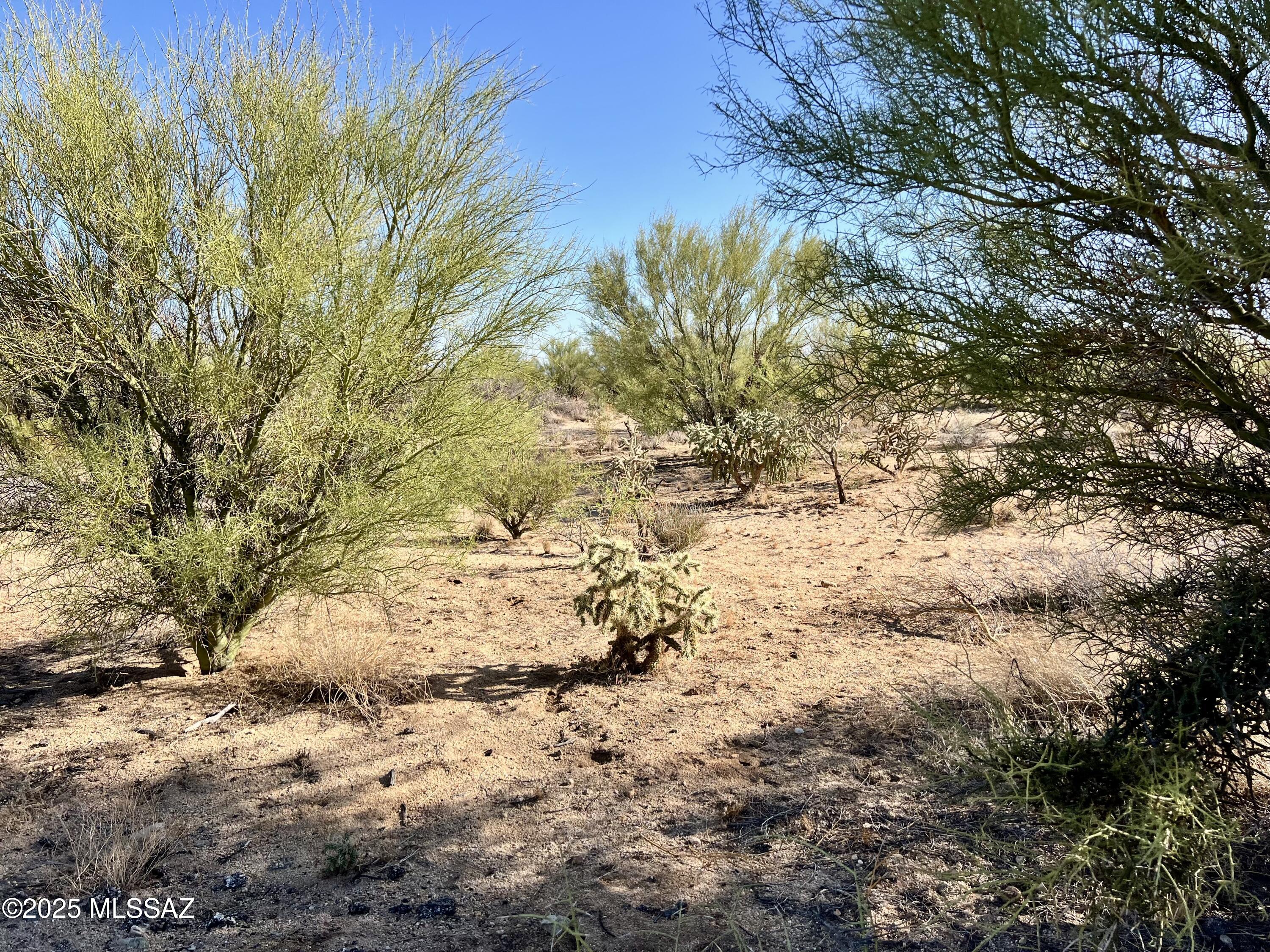 3-lots West Diamond Bell Ranch Road, Unit 1113 Tucson, AZ 85736 - Photo 4 of 12
