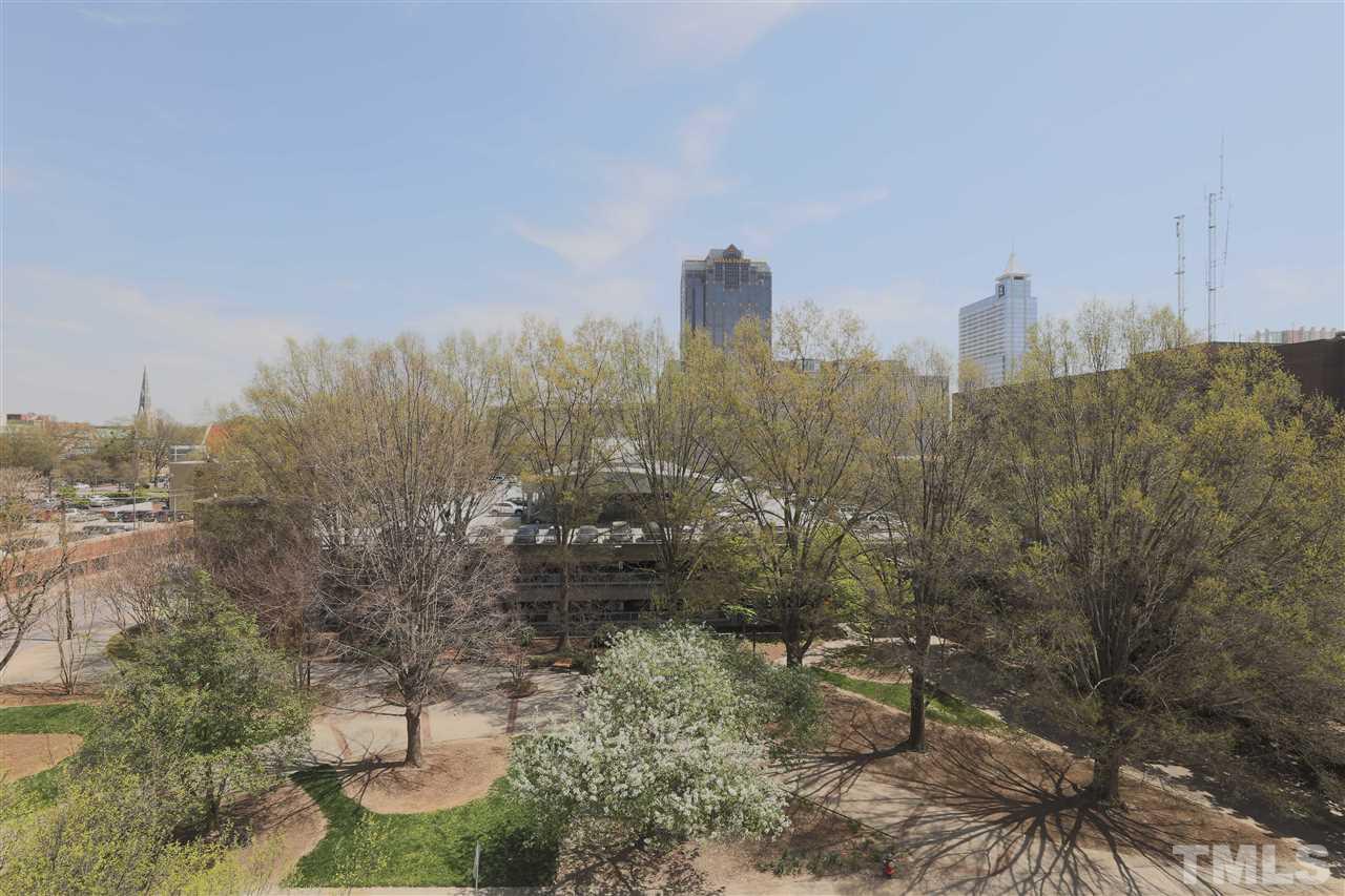 317 West Morgan Street, Unit 412 Raleigh, NC 27601 - Photo 22 of 25 a view of a city with tall buildings