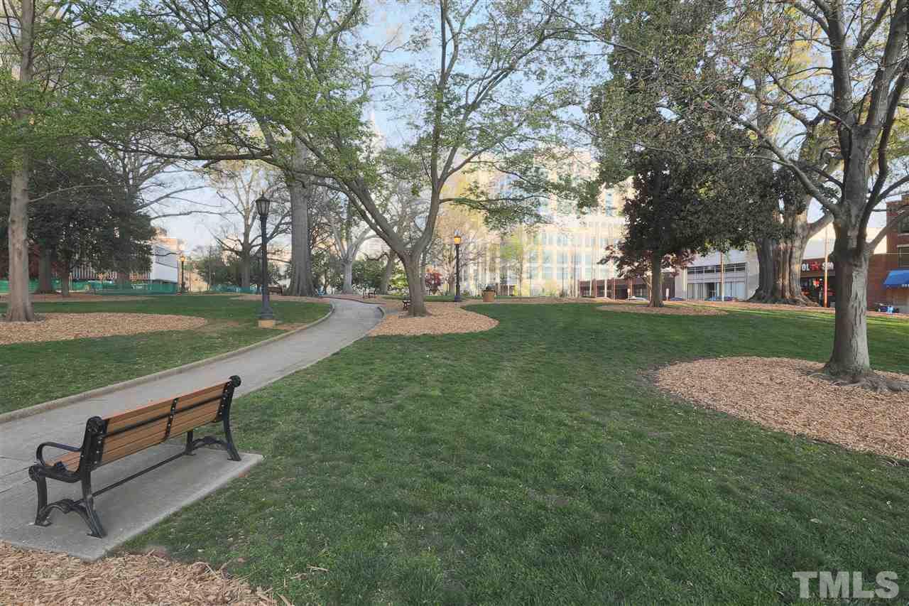 317 West Morgan Street, Unit 412 Raleigh, NC 27601 - Photo 24 of 25 a view of a park with large trees