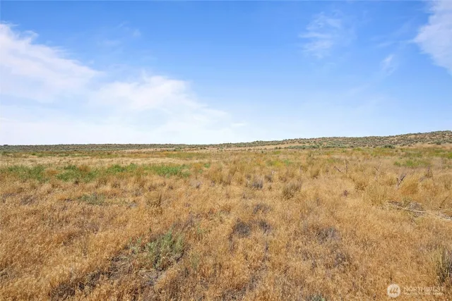 a view of a lake with houses in the back