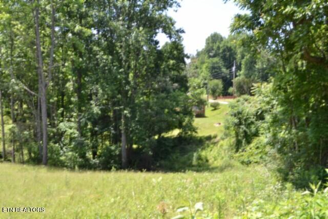 2390 Pea Ridge Fire Tower Road Celina, TN 38551 - Photo 14 of 58 DSC_0082
