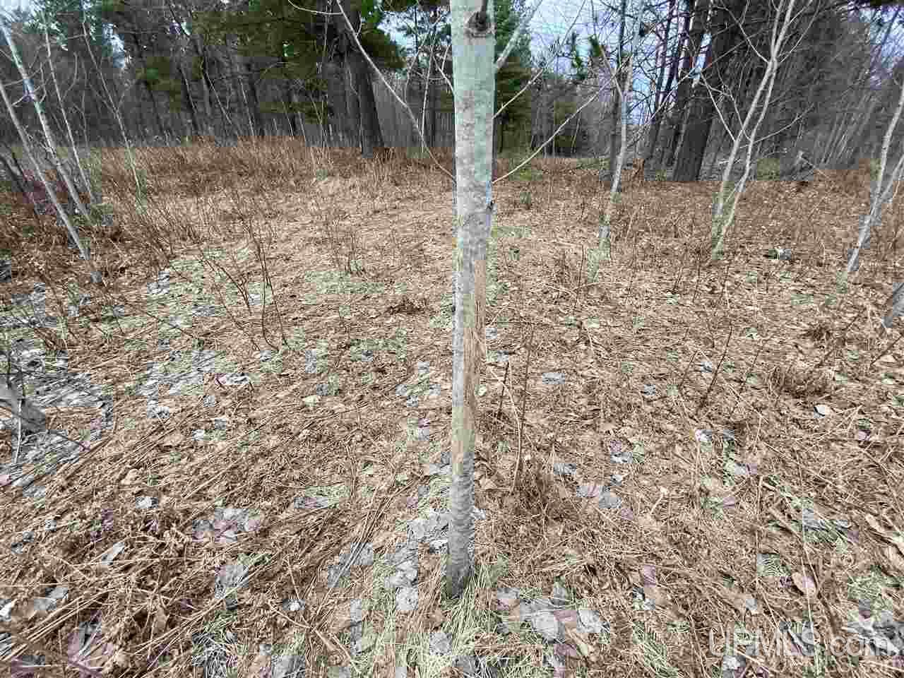 Tbd Plains Cutoff Road Baraga, MI 49908 - Photo 27 of 49