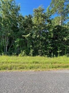 0 Sunset Road Glenmora, LA 71433 - Photo 2 of 3