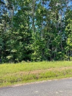 0 Sunset Road Glenmora, LA 71433 - Photo 3 of 3