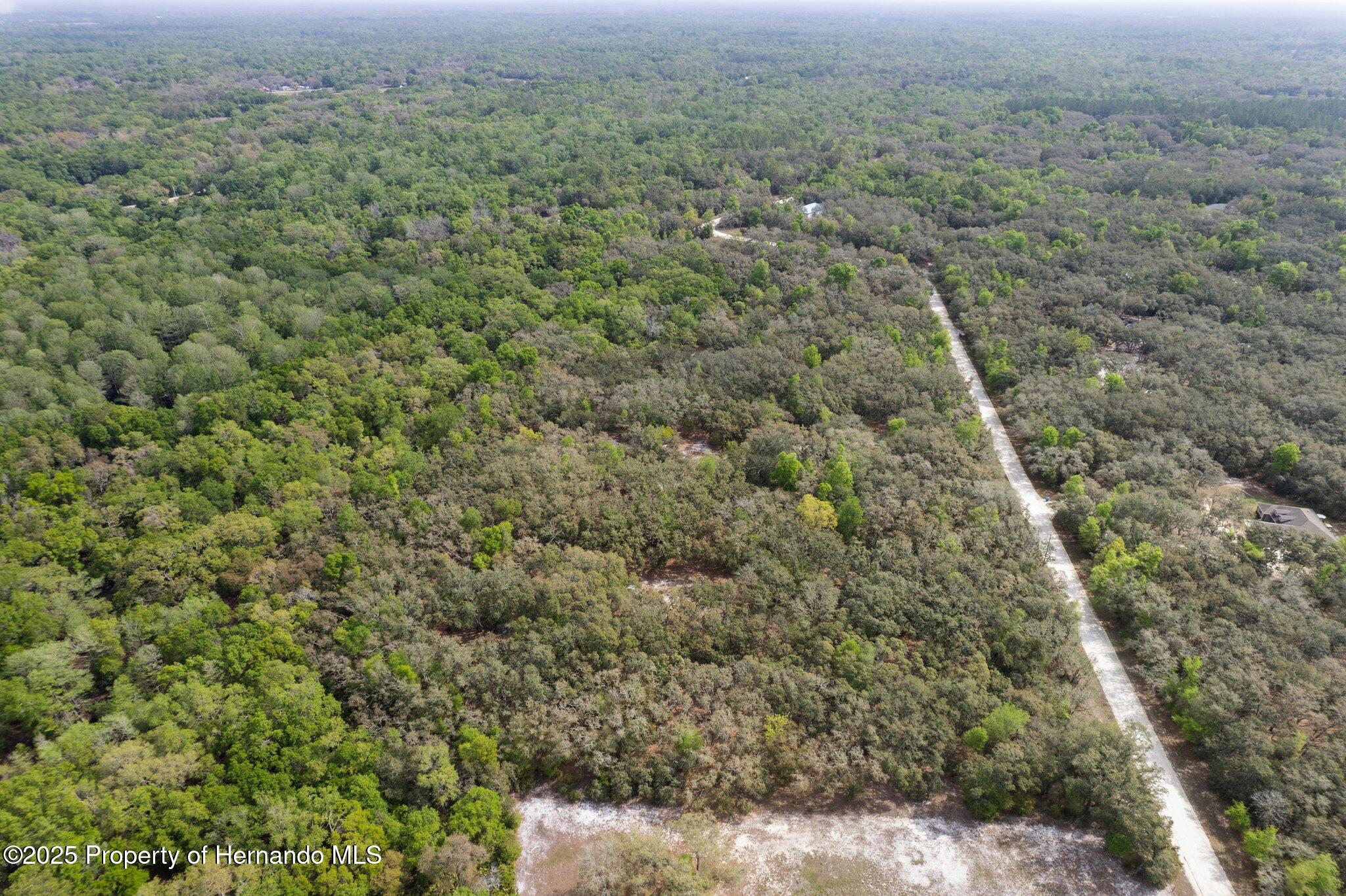 0 Rimrock Street Webster, FL 33597 - Photo 24 of 25