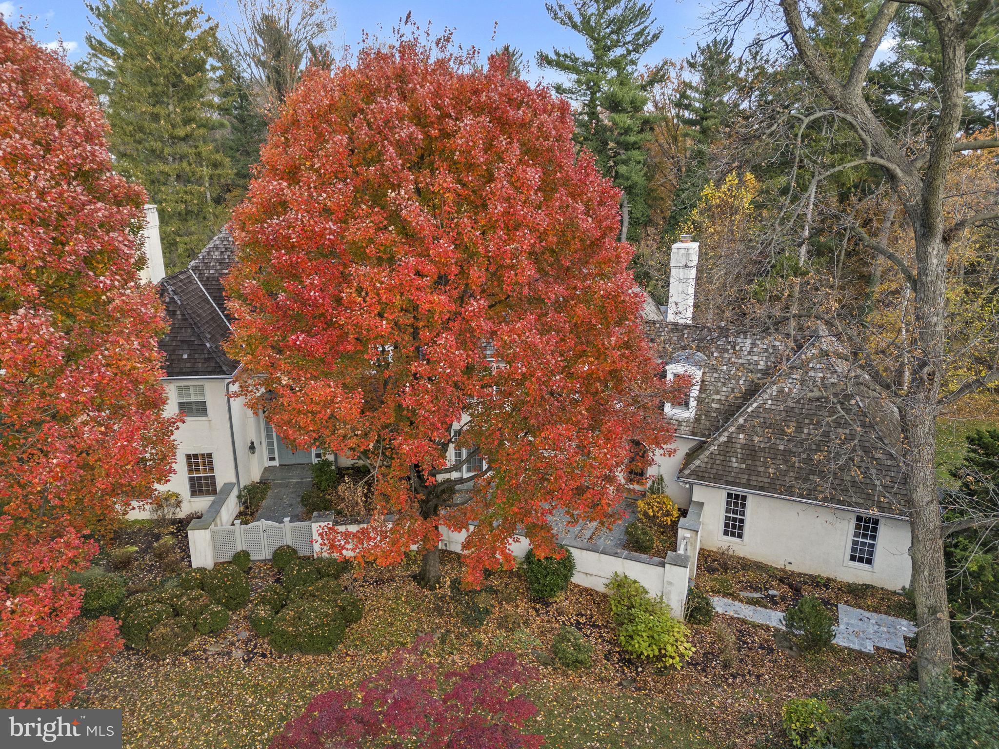 841 Mt Moro Road Villanova, PA 19085 - Photo 55 of 63 a backyard of a house with lots of green space