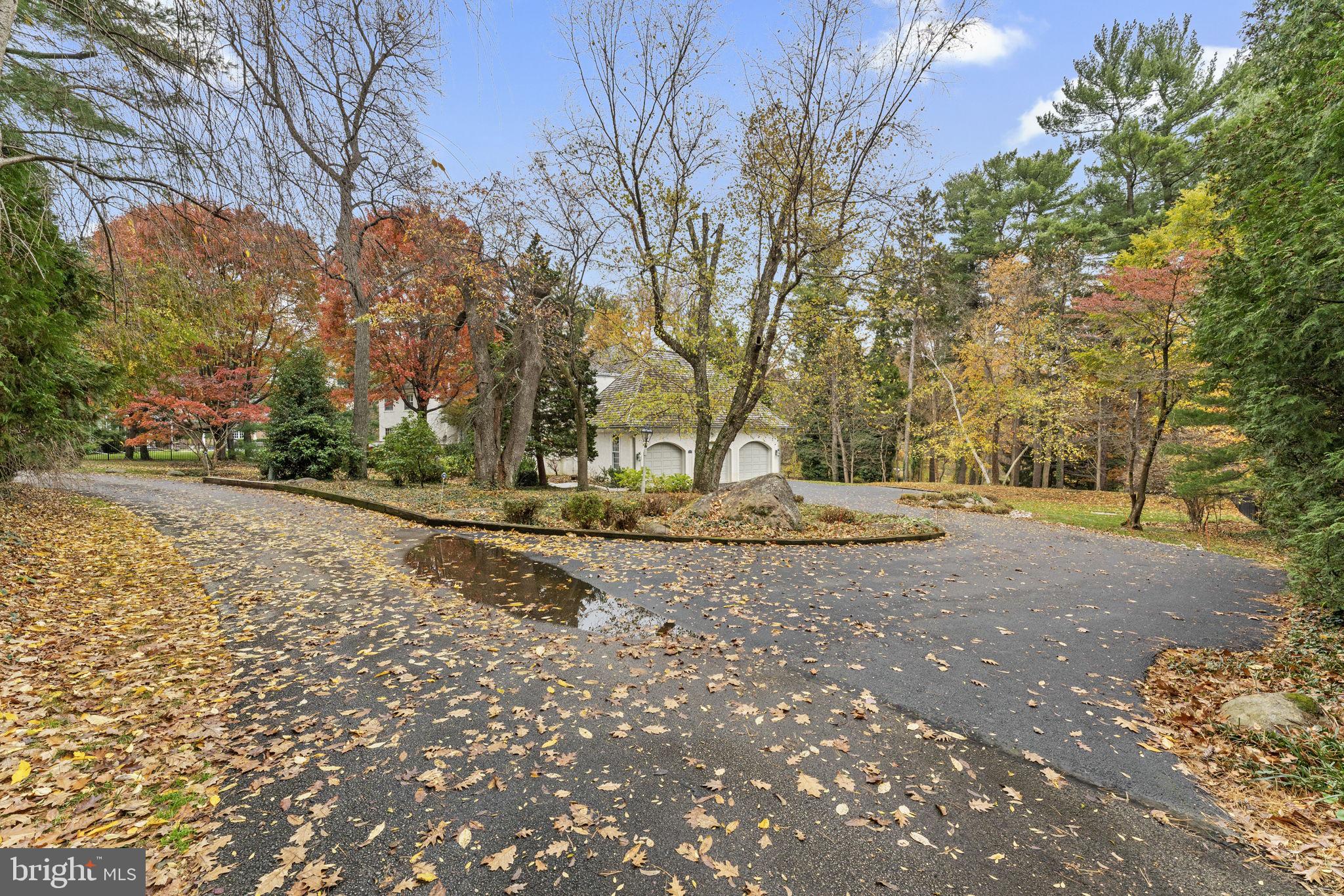 841 Mt Moro Road Villanova, PA 19085 - Photo 57 of 63 a view of yard with tree