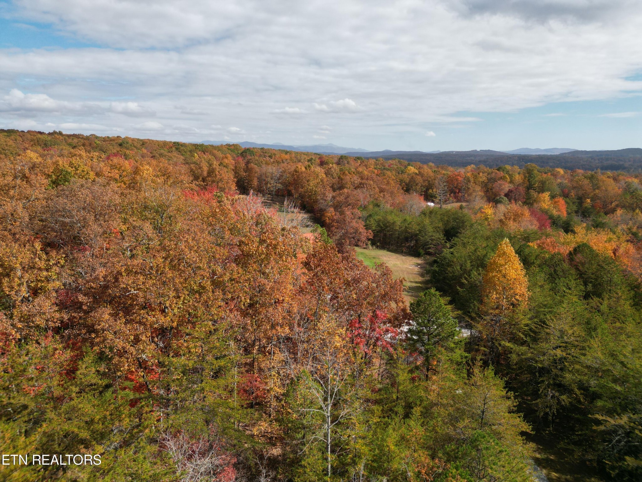246 Catoosa Ridge Road Rockwood, TN 37854 - Photo 49 of 54