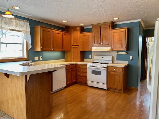 152 Greenback Street Hesperia, MI 49421 - Photo 4 of 22 152Greenback-Kitchen