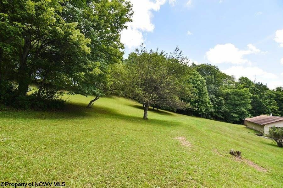 1531 McKinney Cave Road Reedsville, WV 26547 - Photo 10 of 21 Gallery Image 10