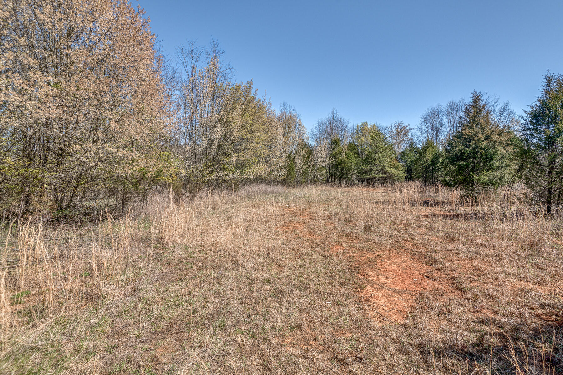 Tbd Pactolus Road Kingsport, TN 37663 - Photo 6 of 8 Pactolus Rd 8