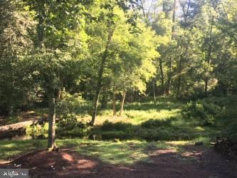 280 Crow Pond Road Elmer, NJ 08318 - Photo 42 of 47