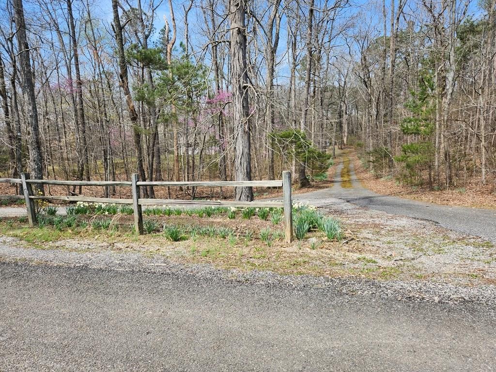673 Browder Road Old Fort, TN 37362 - Photo 33 of 35 Gallery Image 33