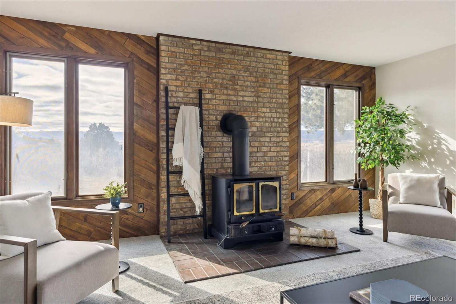 1482 North Perry Park Road Sedalia, CO 80135 - Photo 29 of 50 a living room with furniture and a potted plant