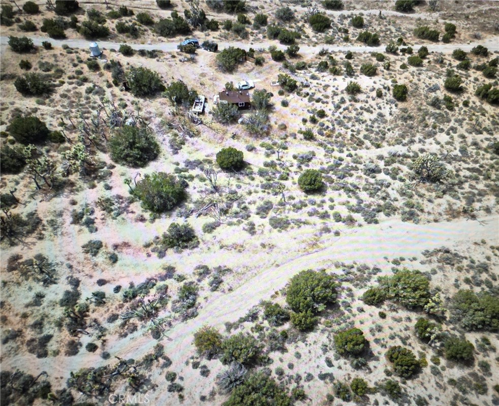 13138 Fort Tejon Road Pearblossom, CA 93553 - Photo 4 of 15 a view of a yard with a tree
