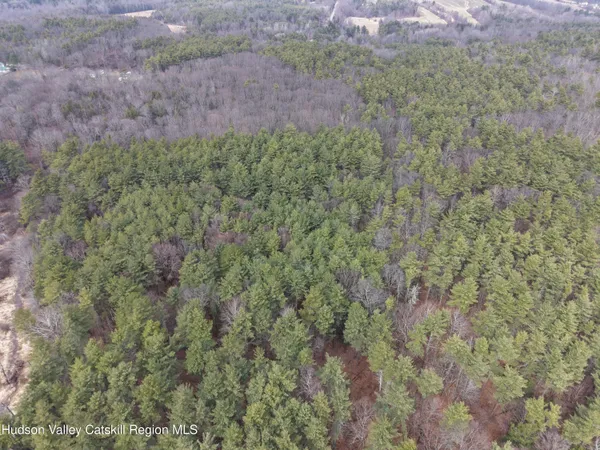 a view of a field with a tree