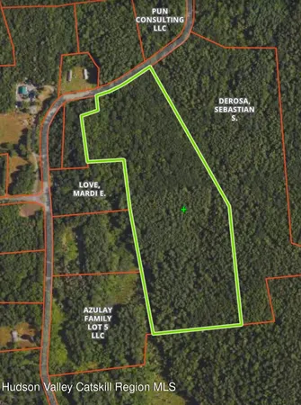 a view of a dry yard