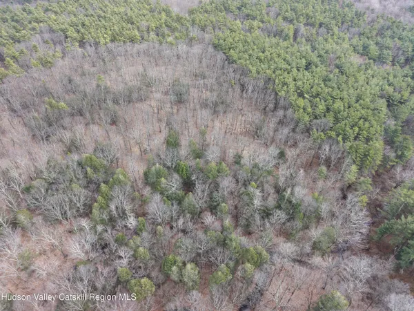 a view of a dry yard with trees