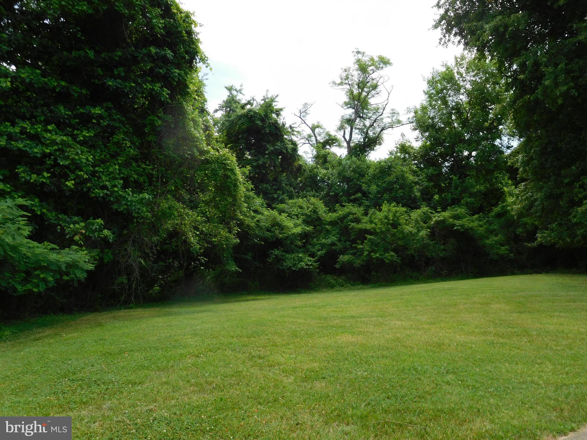 3998 Ferry Landing Road Dunkirk, MD 20754 - Photo 22 of 24 Side Yard