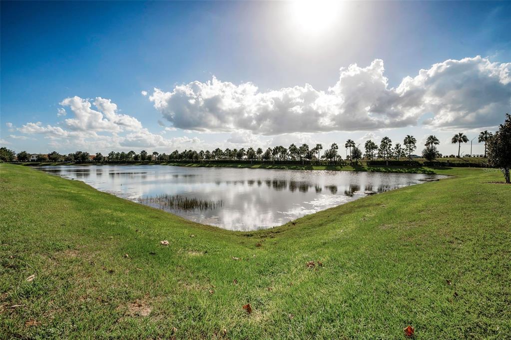 16833 Banner Shell Place Wimauma, FL 33598 - Photo 32 of 55 a view of a lake with houses in the back