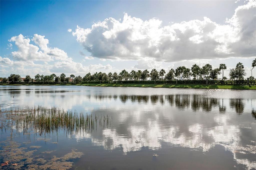 16833 Banner Shell Place Wimauma, FL 33598 - Photo 33 of 55 a view of a lake with houses in the back