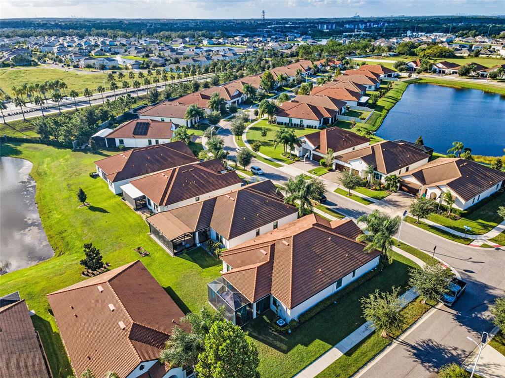 16833 Banner Shell Place Wimauma, FL 33598 - Photo 40 of 55 an aerial view of residential houses with outdoor space