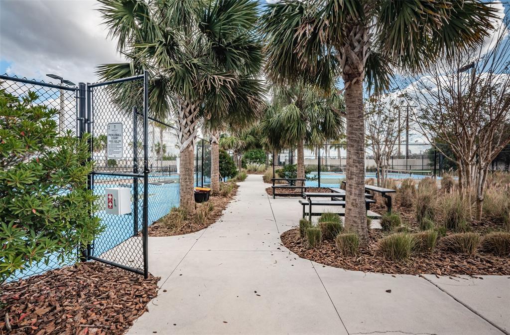 16833 Banner Shell Place Wimauma, FL 33598 - Photo 48 of 55 a view of backyard of a house