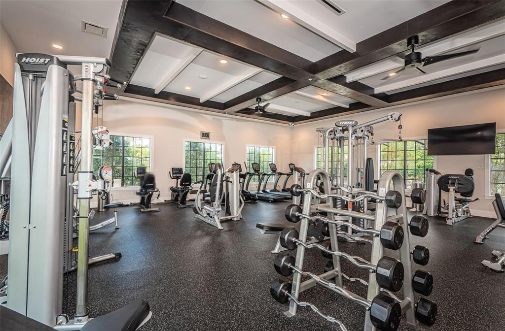 16833 Banner Shell Place Wimauma, FL 33598 - Photo 50 of 55 a view of a room with gym equipment