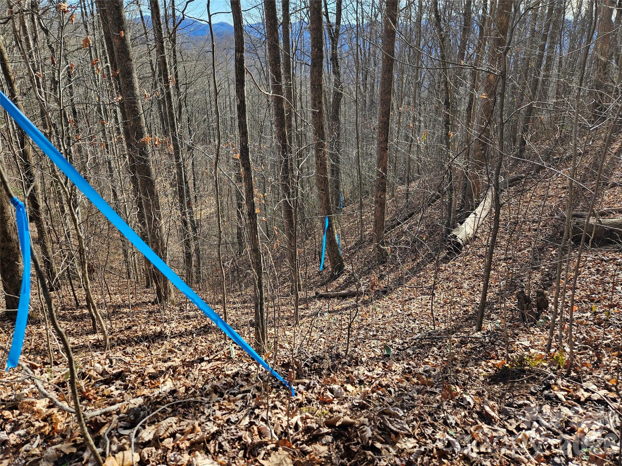 262 Si Knob Road Cullowhee, NC 28723 - Photo 12 of 14