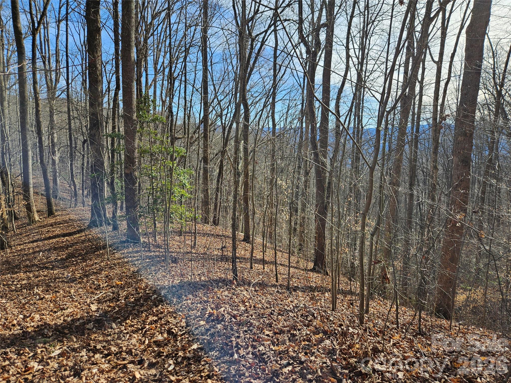 262 Si Knob Road Cullowhee, NC 28723 - Photo 13 of 14 a backyard of a house with lots of green space