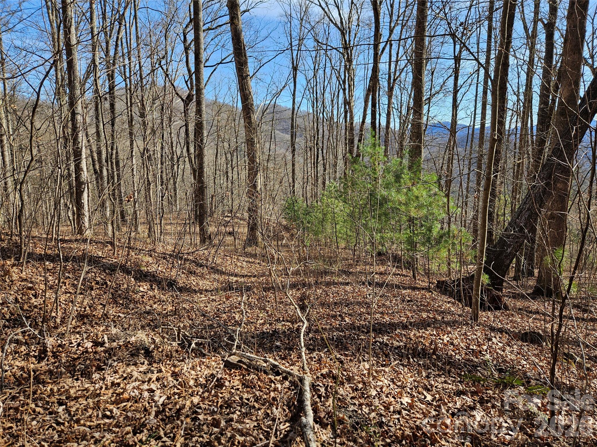 262 Si Knob Road Cullowhee, NC 28723 - Photo 2 of 14 a view of backyard with green space