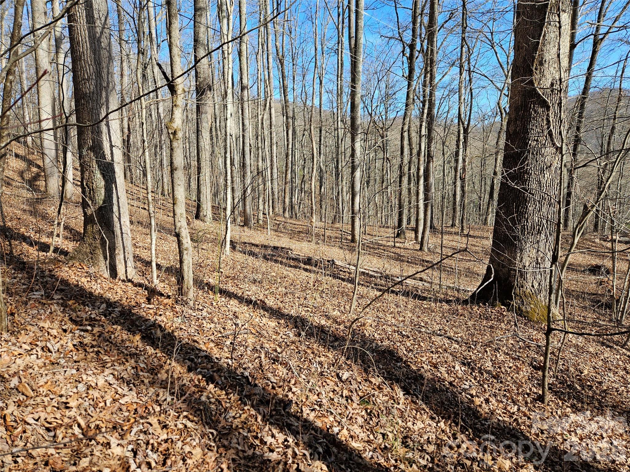 262 Si Knob Road Cullowhee, NC 28723 - Photo 3 of 14 a backyard of a house with a table and chair