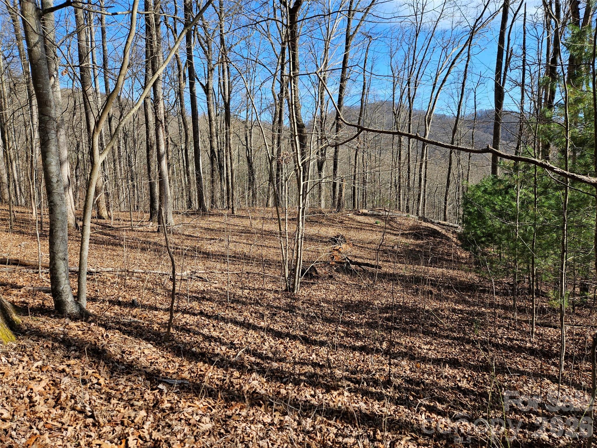 262 Si Knob Road Cullowhee, NC 28723 - Photo 4 of 14 a backyard of a house with lots of green space